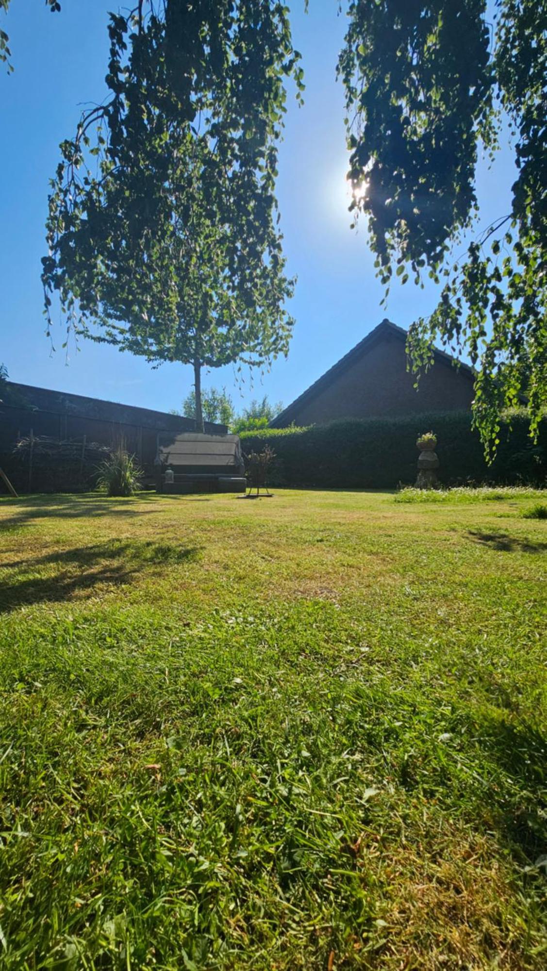 Surforama Studio Apartment Mit Meerblick Und Garten Fehmarn Dış mekan fotoğraf